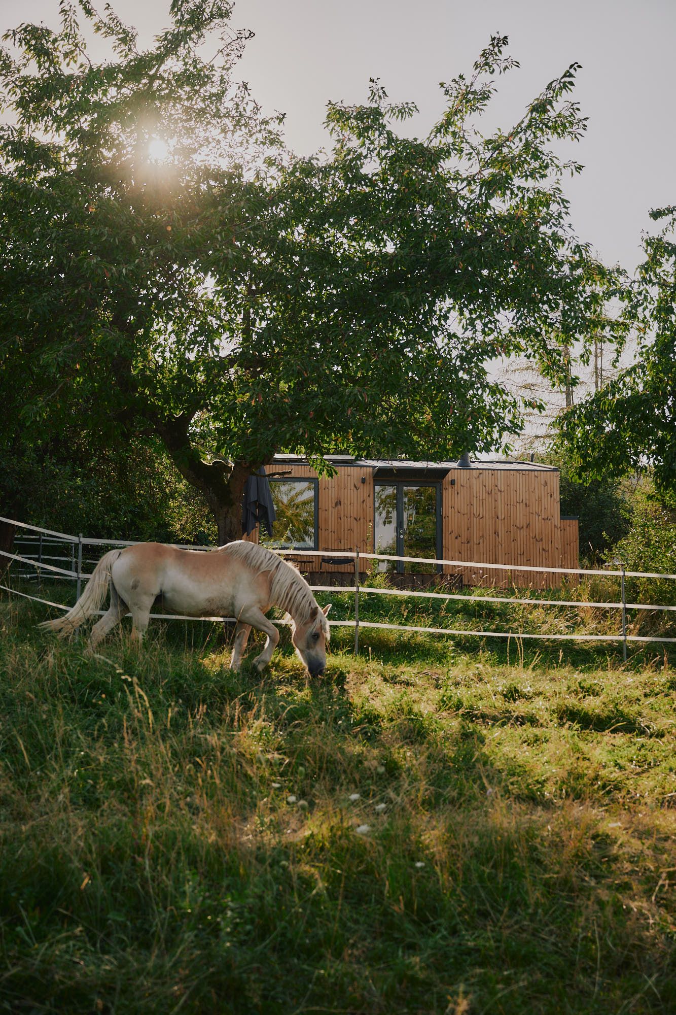 Kirschbaumwiese – Raus.life