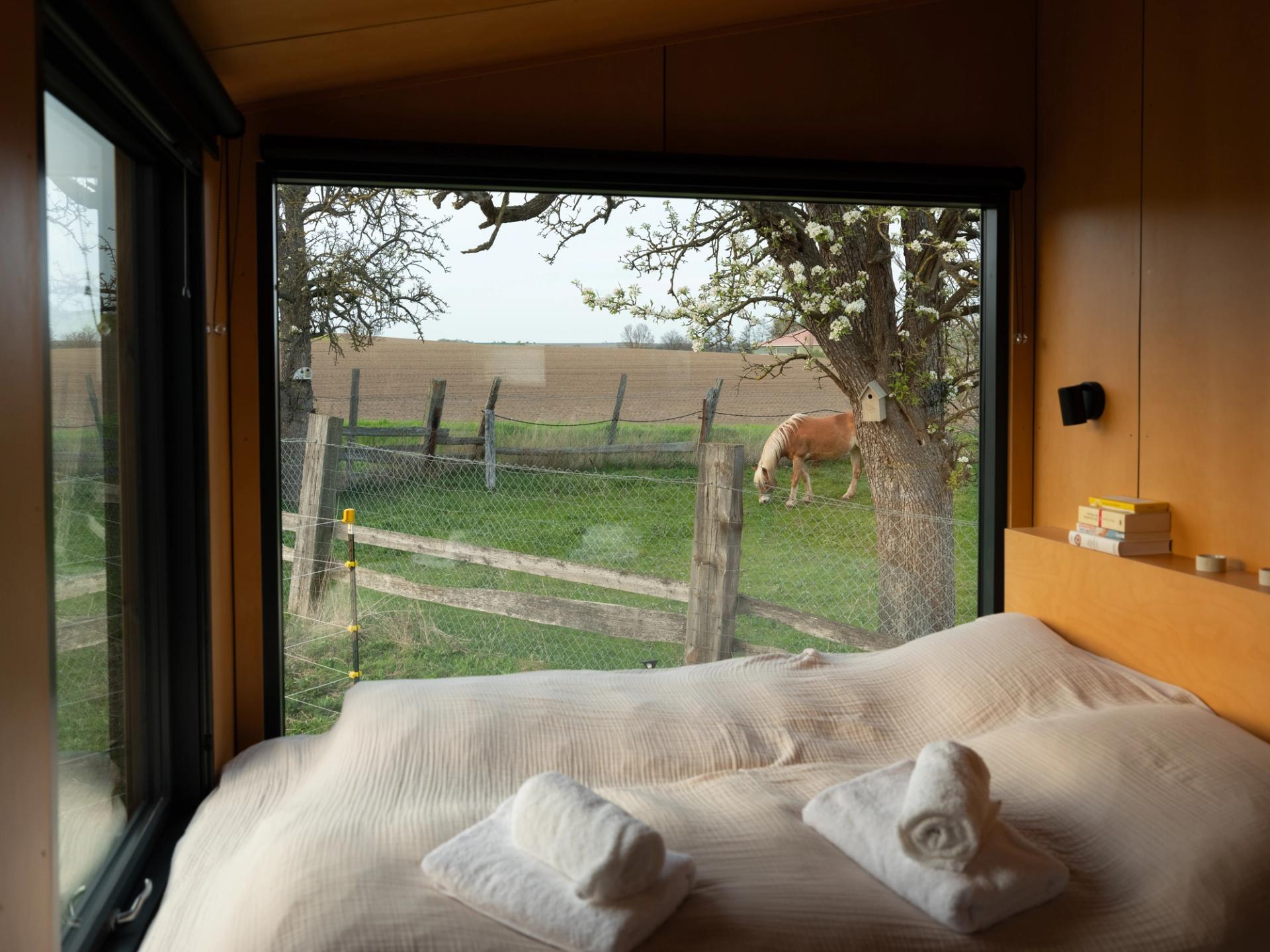 View from the tiny house of a horse grazing right in front of the panoramic window.