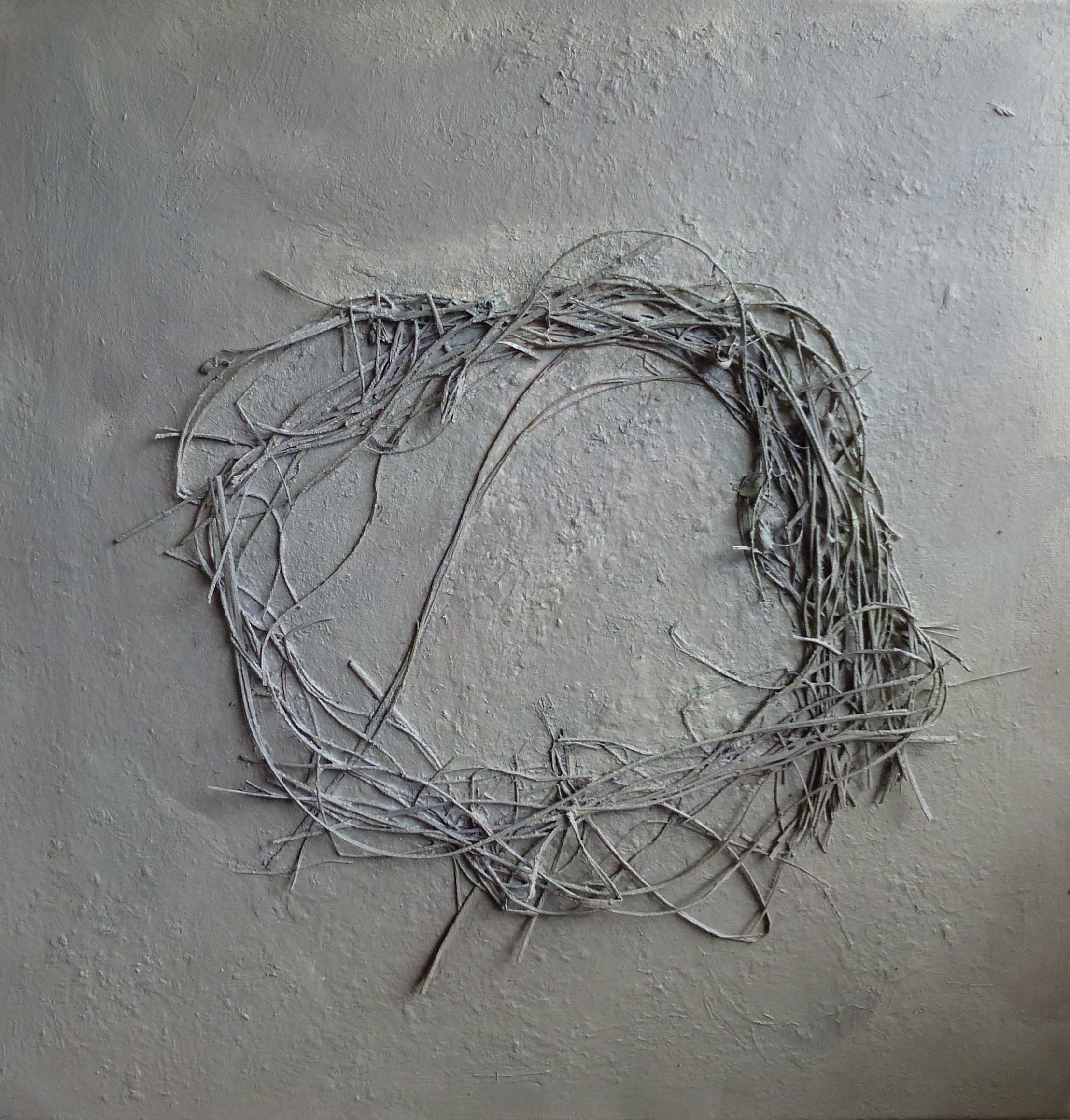 Nest