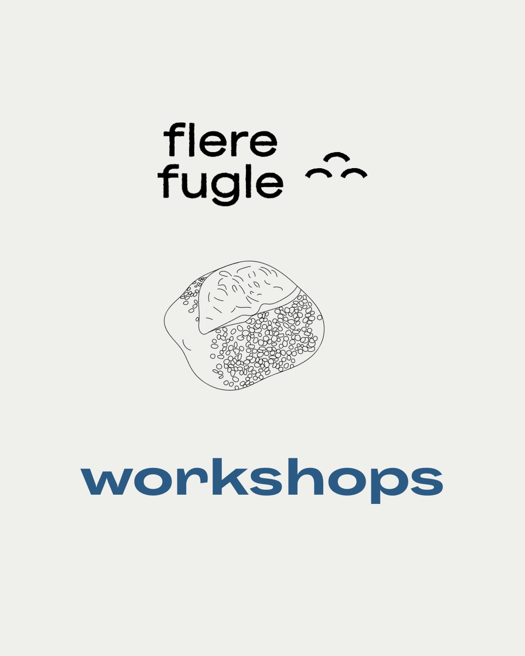 Bag med Flere Fugle & Thomas til Sydhavsøernes Frugtfestival