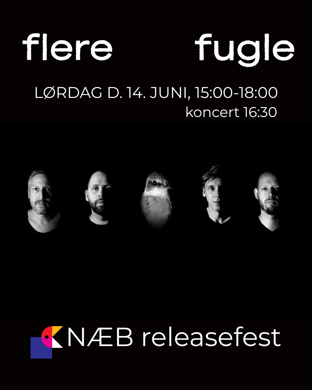 NÆB releasefest "Territorium"