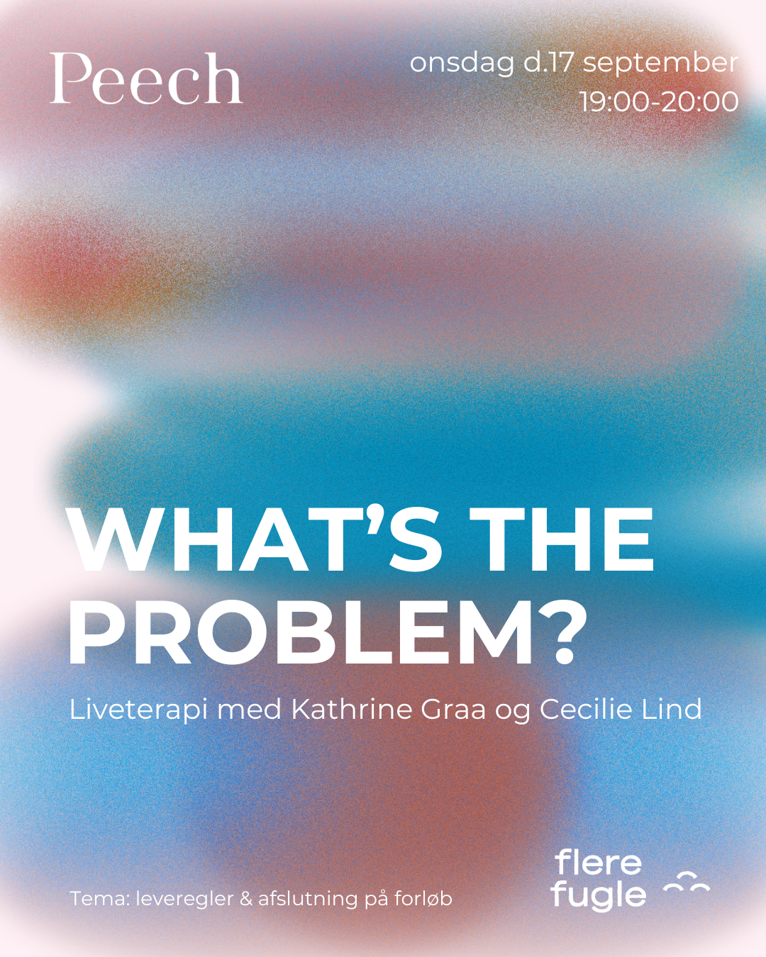 What's the problem? – Leveregler & afslutning af forløb