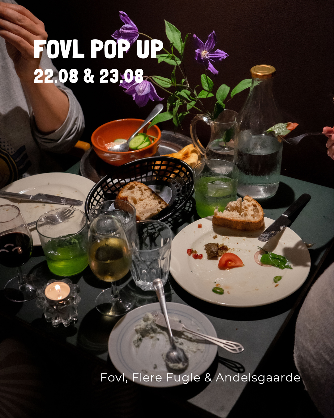 Fovl pop up m. Andelsgaarde