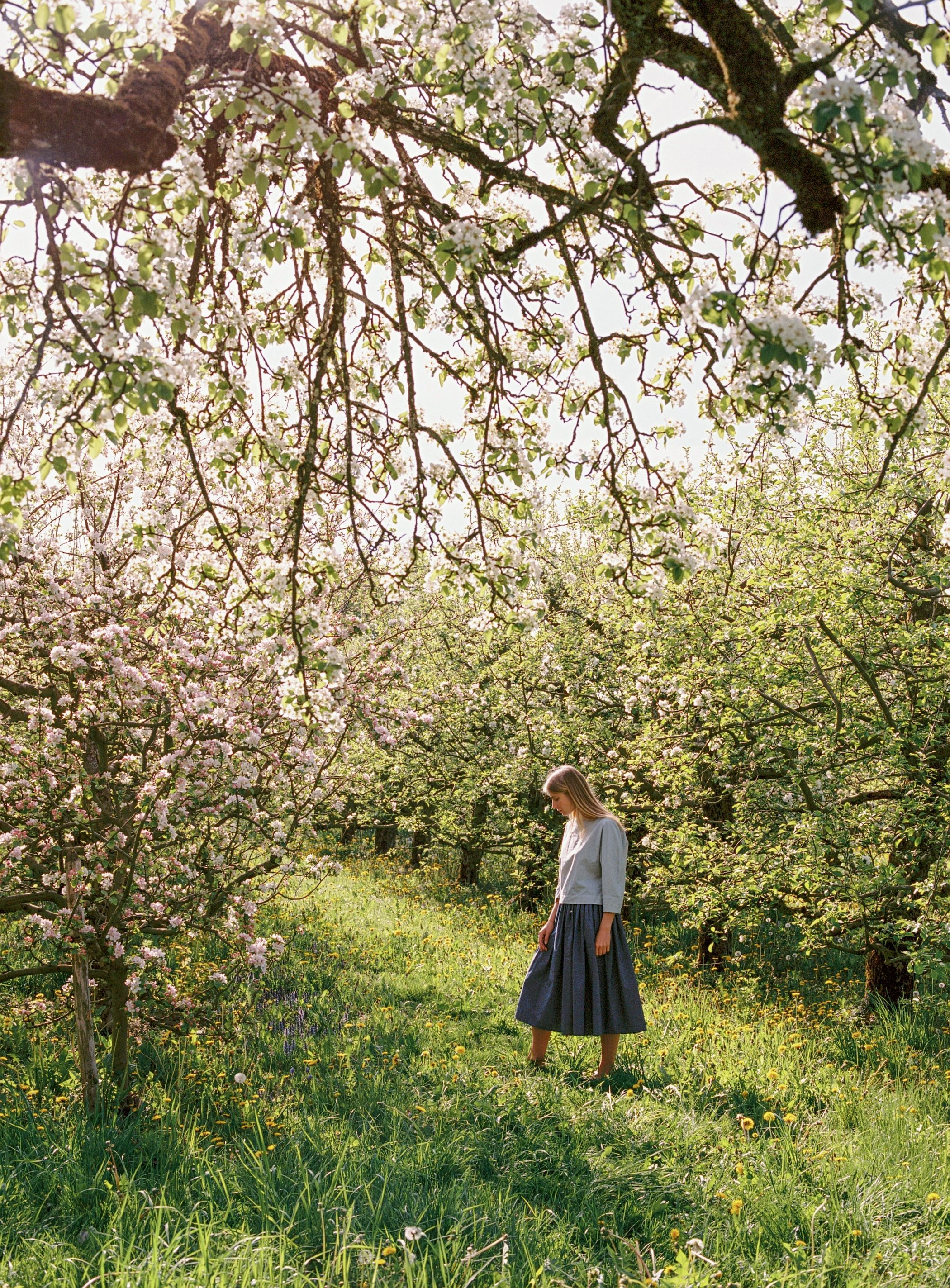 ABOVE, S-T-H Paloma Blouse worn with Jill Skirt