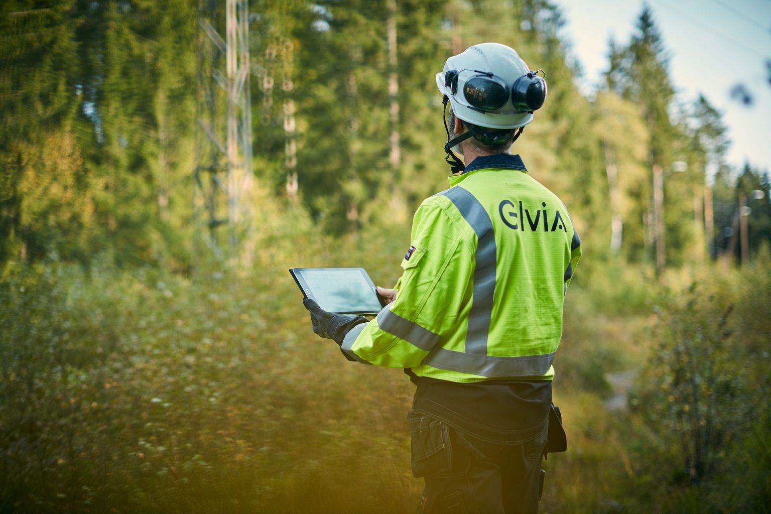 Bilde som illustrerer Elvia