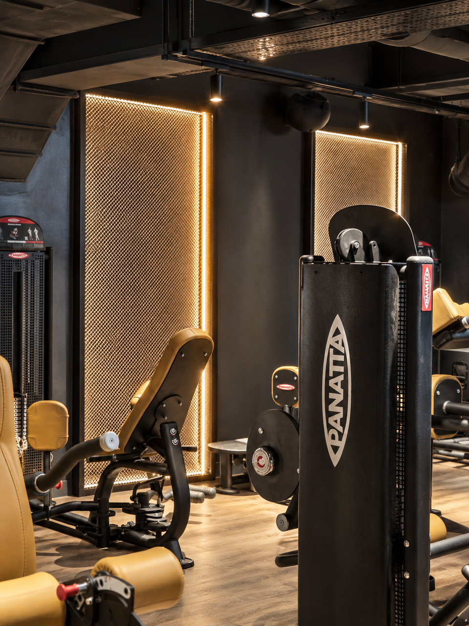 NXT LVL Club — vue 18