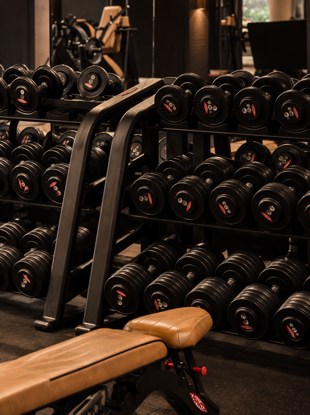 NXT LVL Club — vue 27