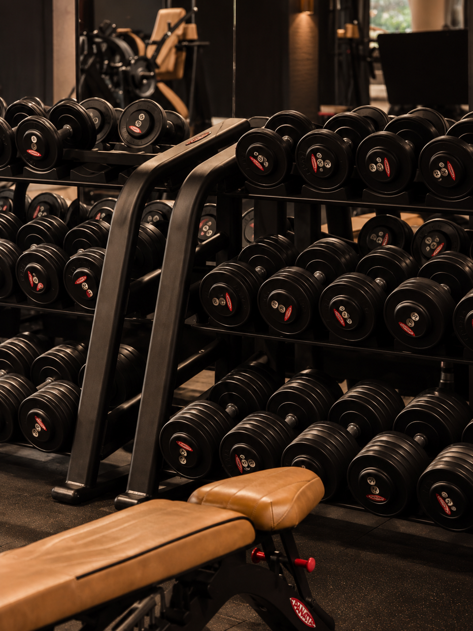 NXT LVL Club — vue 27