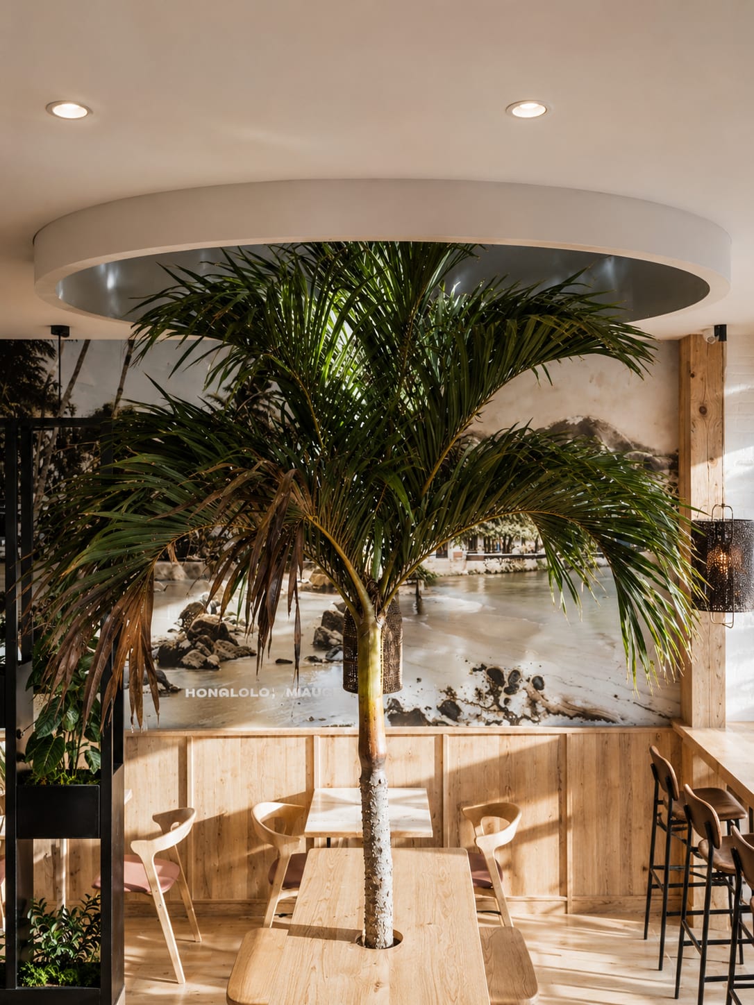 Poke & Tea — salle, restaurant par Créa'Home