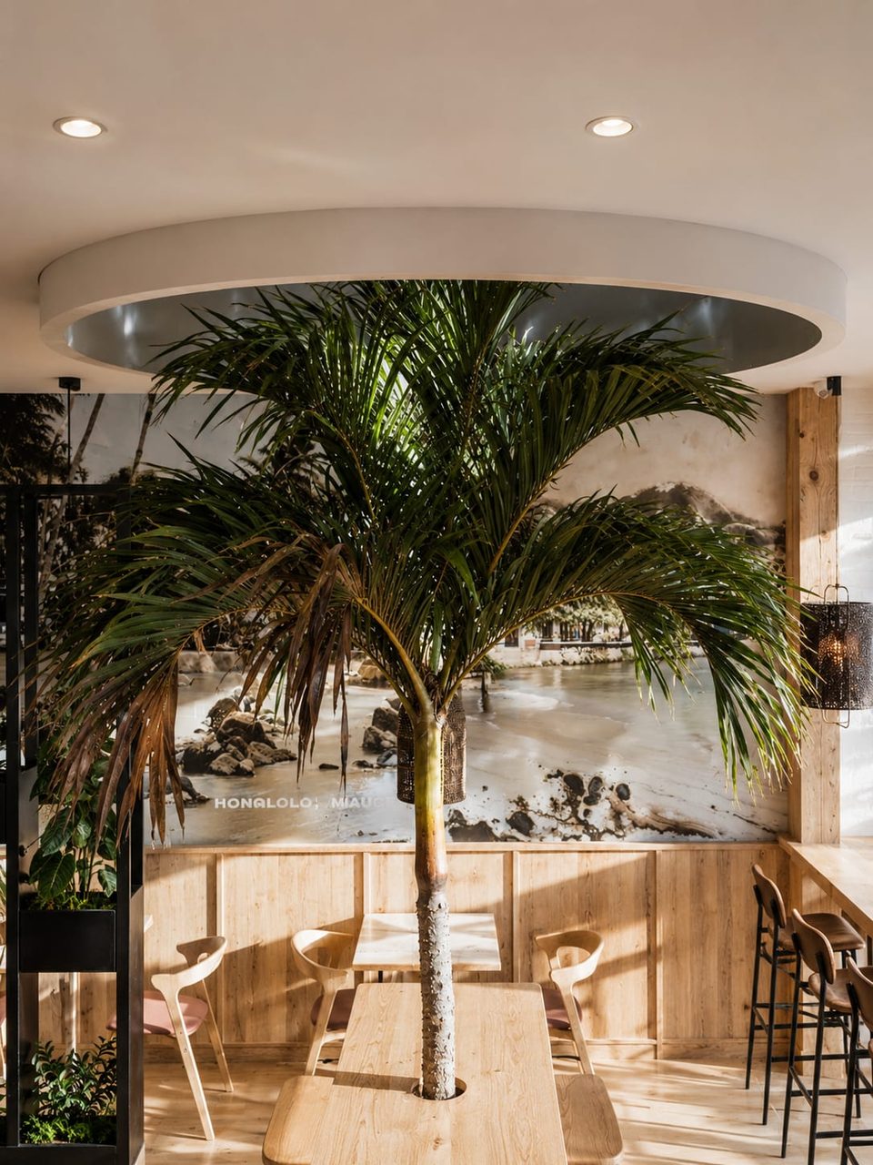 Poke & Tea — salle, restaurant par Créa'Home