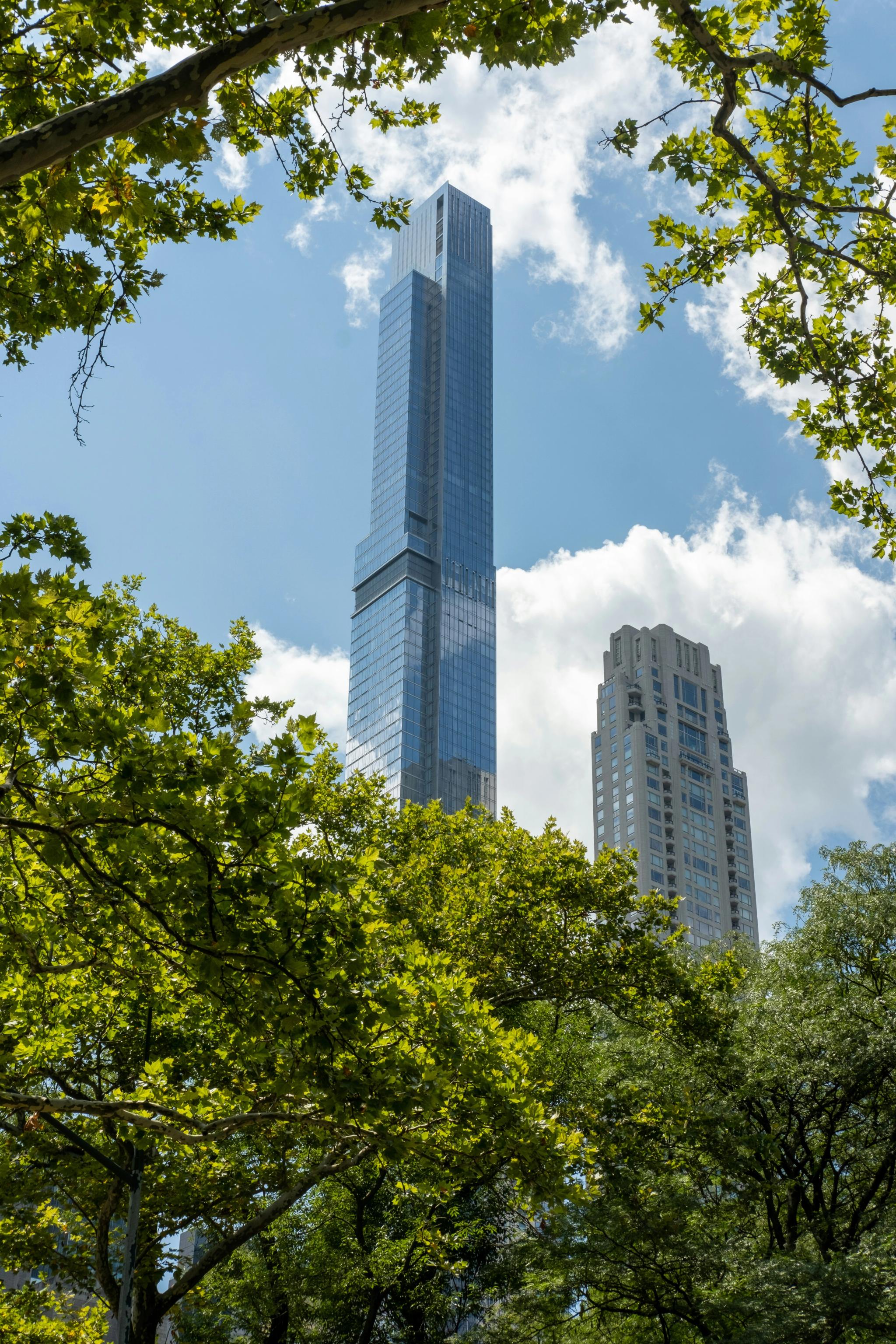 A skyscraper rises through a break in the trees