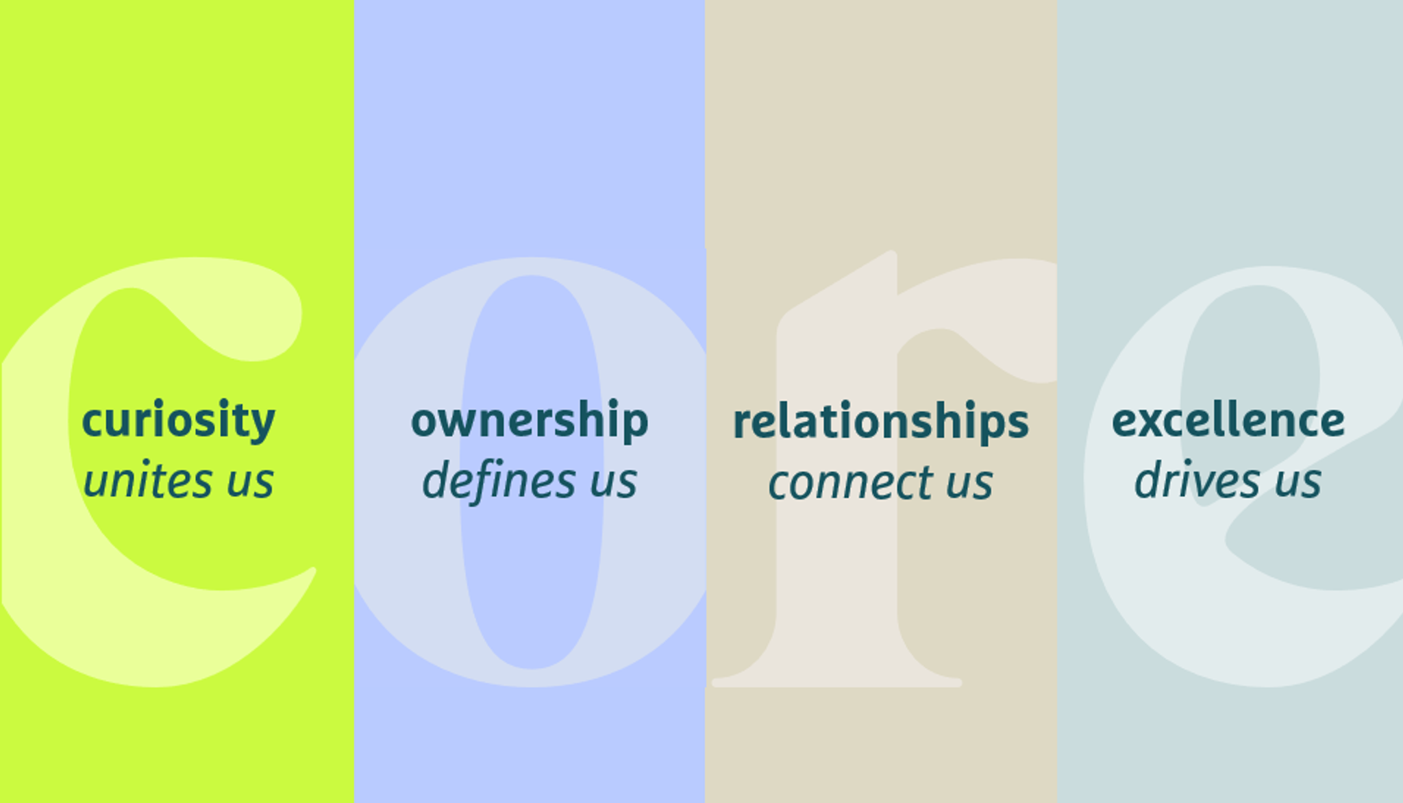 Curiosity unites us  Ownership defines us  Relationships connect us  Excellence drives us