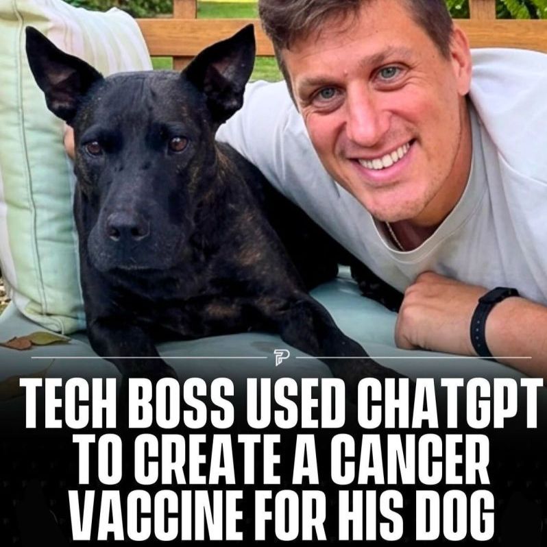 How AI Helped Paul Conyngham Create a Personalized Cancer Vaccine for His Dog Rosie