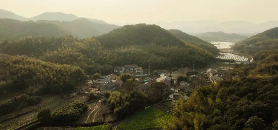 Cover Image for 深耕董家山村，上东山文旅打造传统与现代和谐共生的美好范例