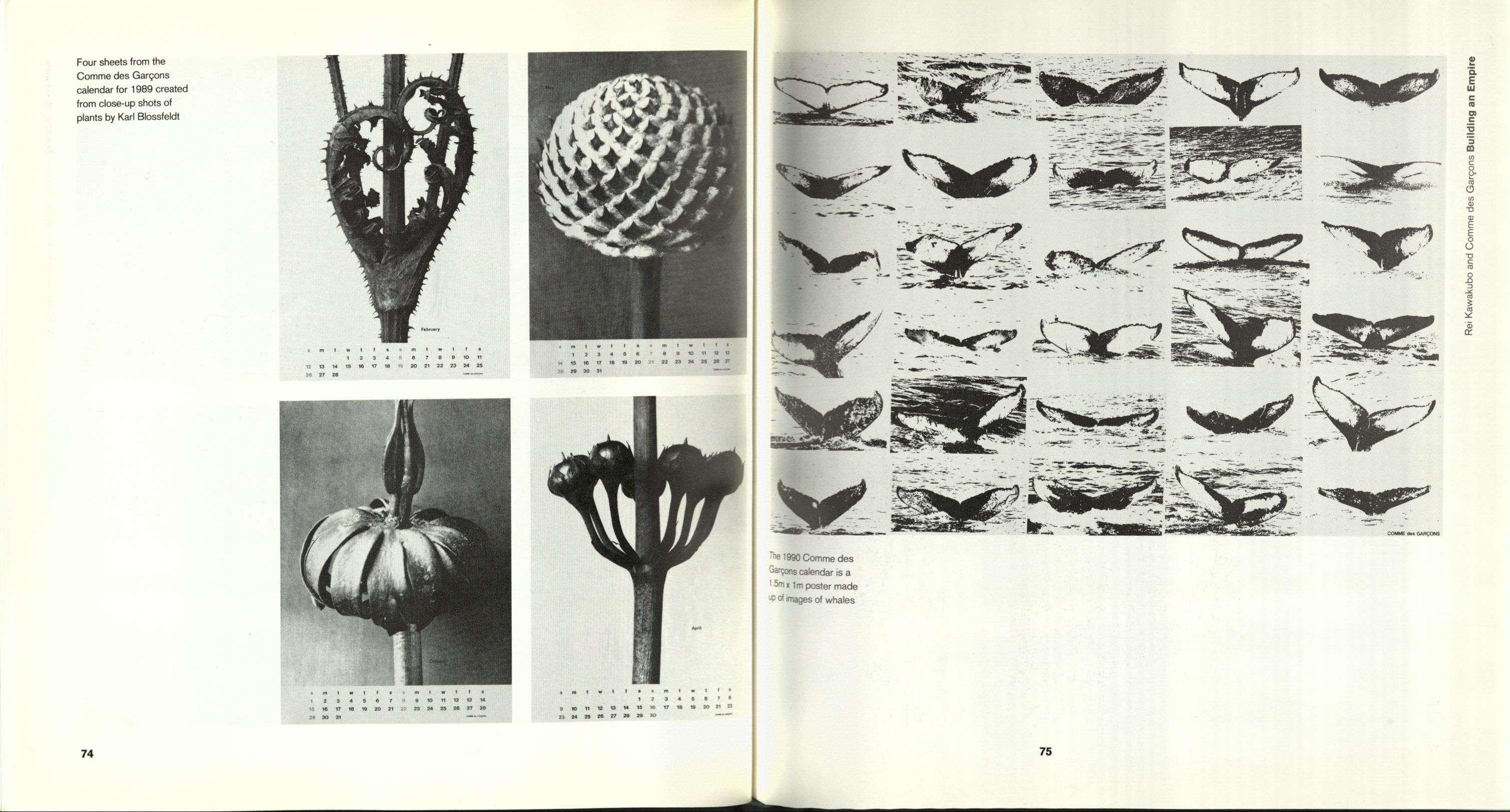 Comme des garcons Rizzoli - Image 35