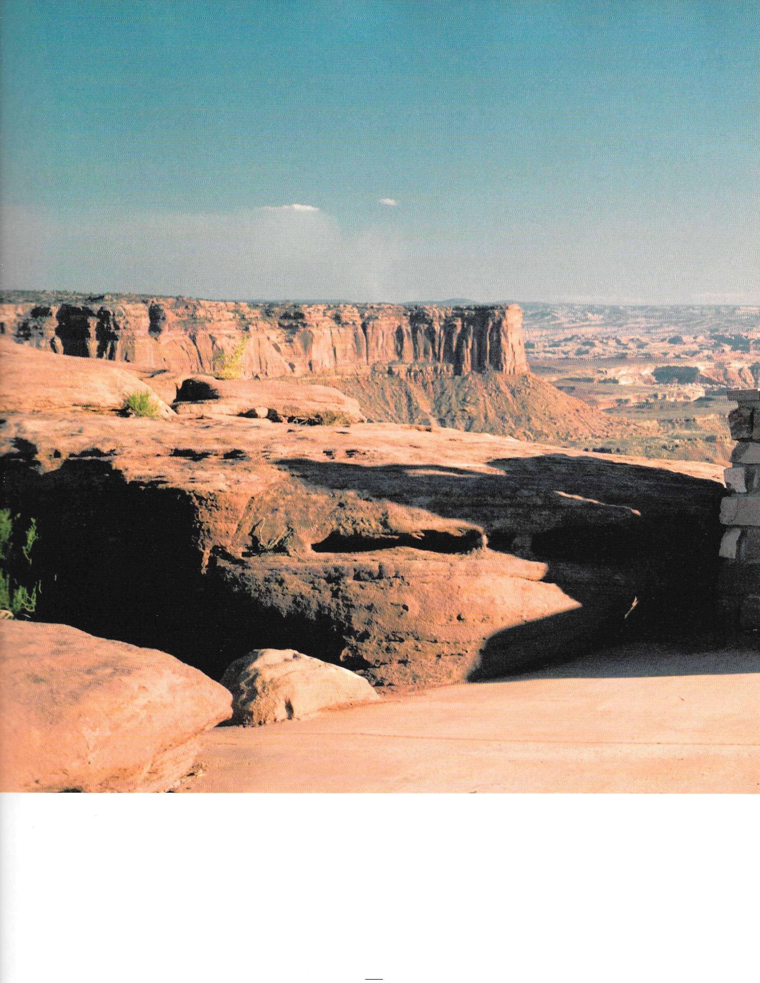 A Magazine Curated by Yohji Yamamoto - Image 29