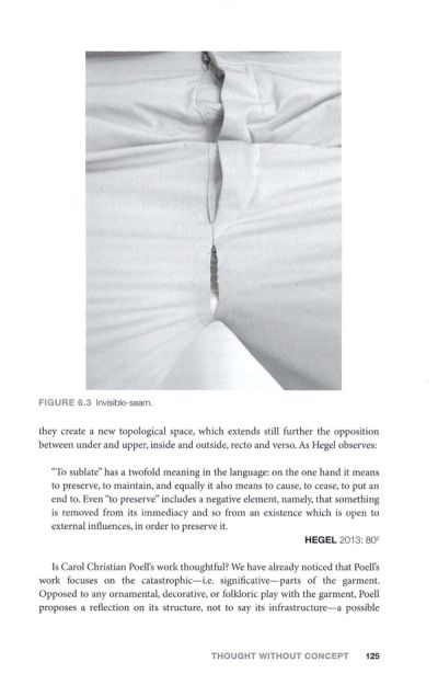 thought-without-concept-carol-christian-poell-s-paradoxical-aesthetics