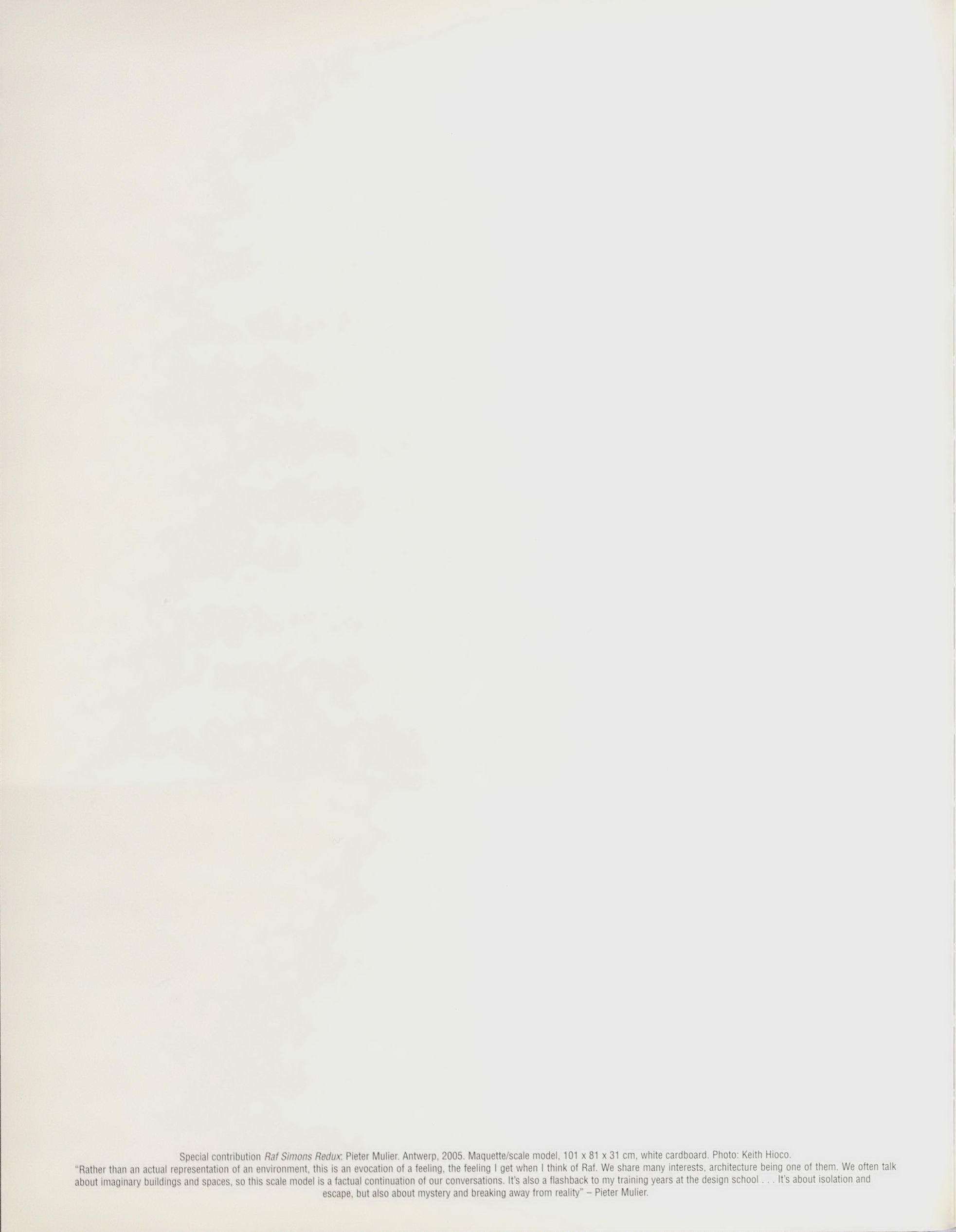 raf simons redux - Image 68