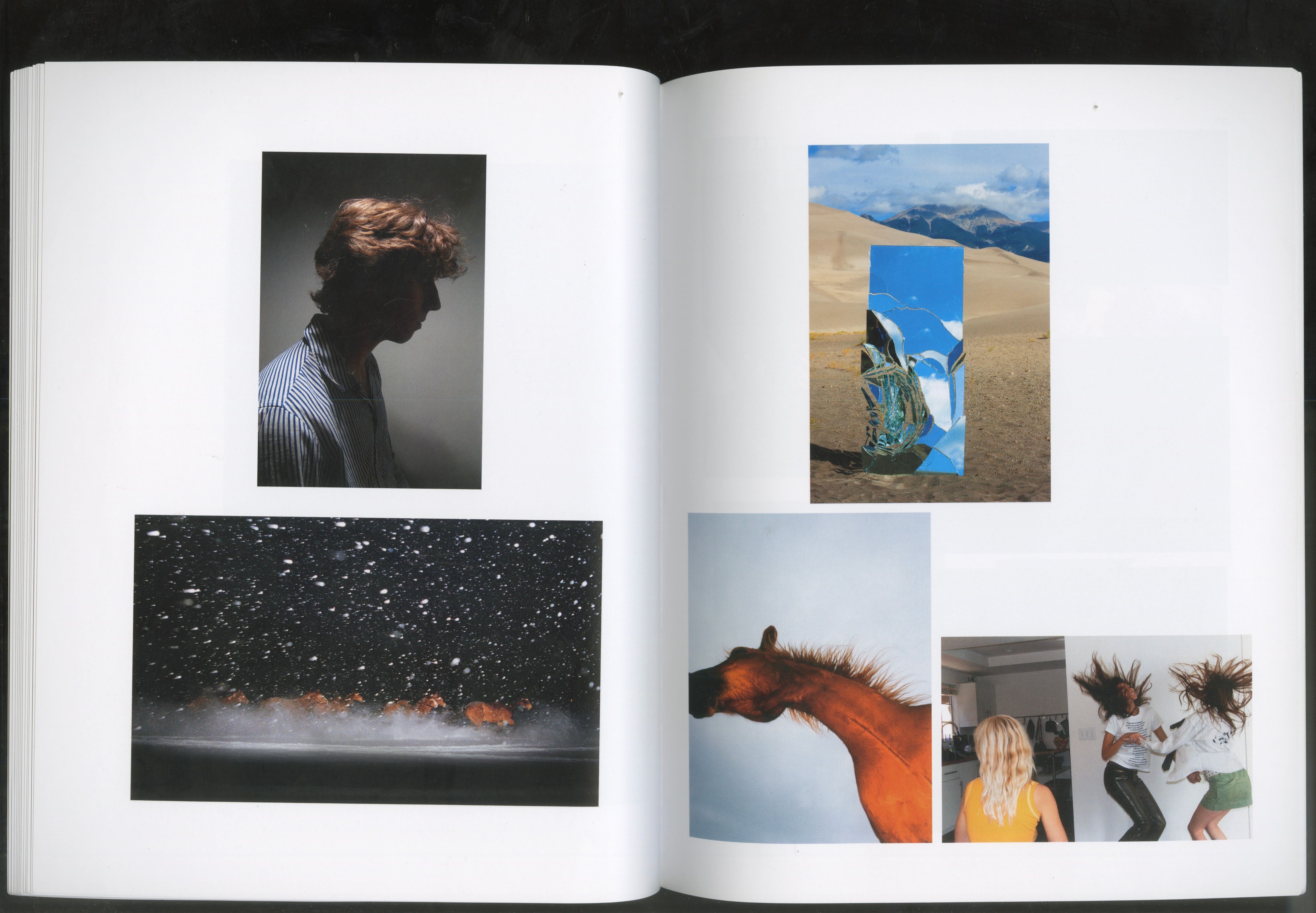 Welcome to Noah Dillon - Image 12