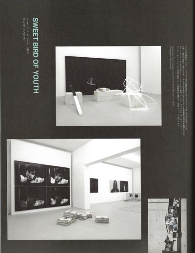 hedi-slimane-anti-utopia
