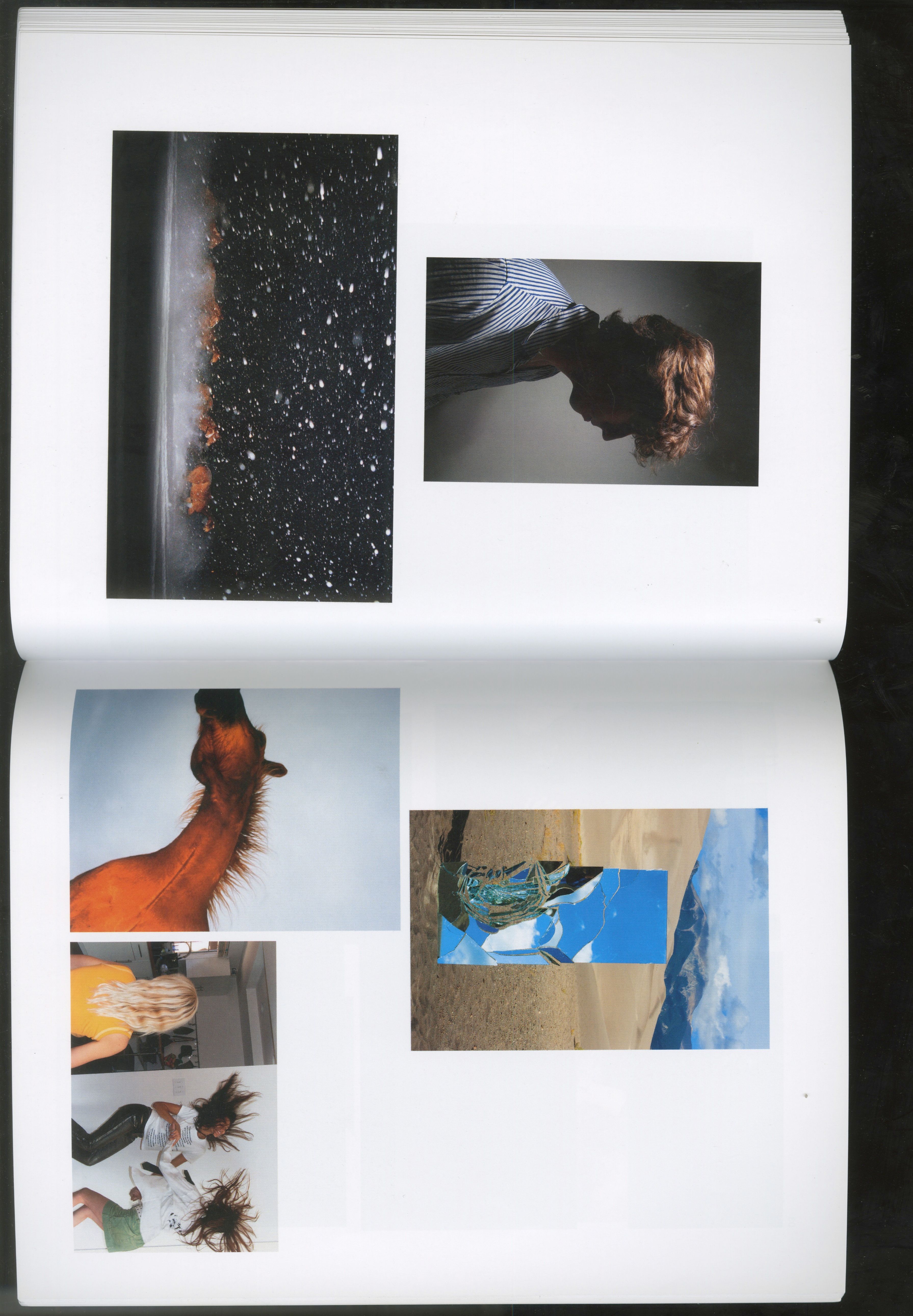 Welcome to Noah Dillon - Image 11