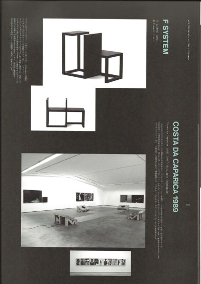 hedi-slimane-anti-utopia