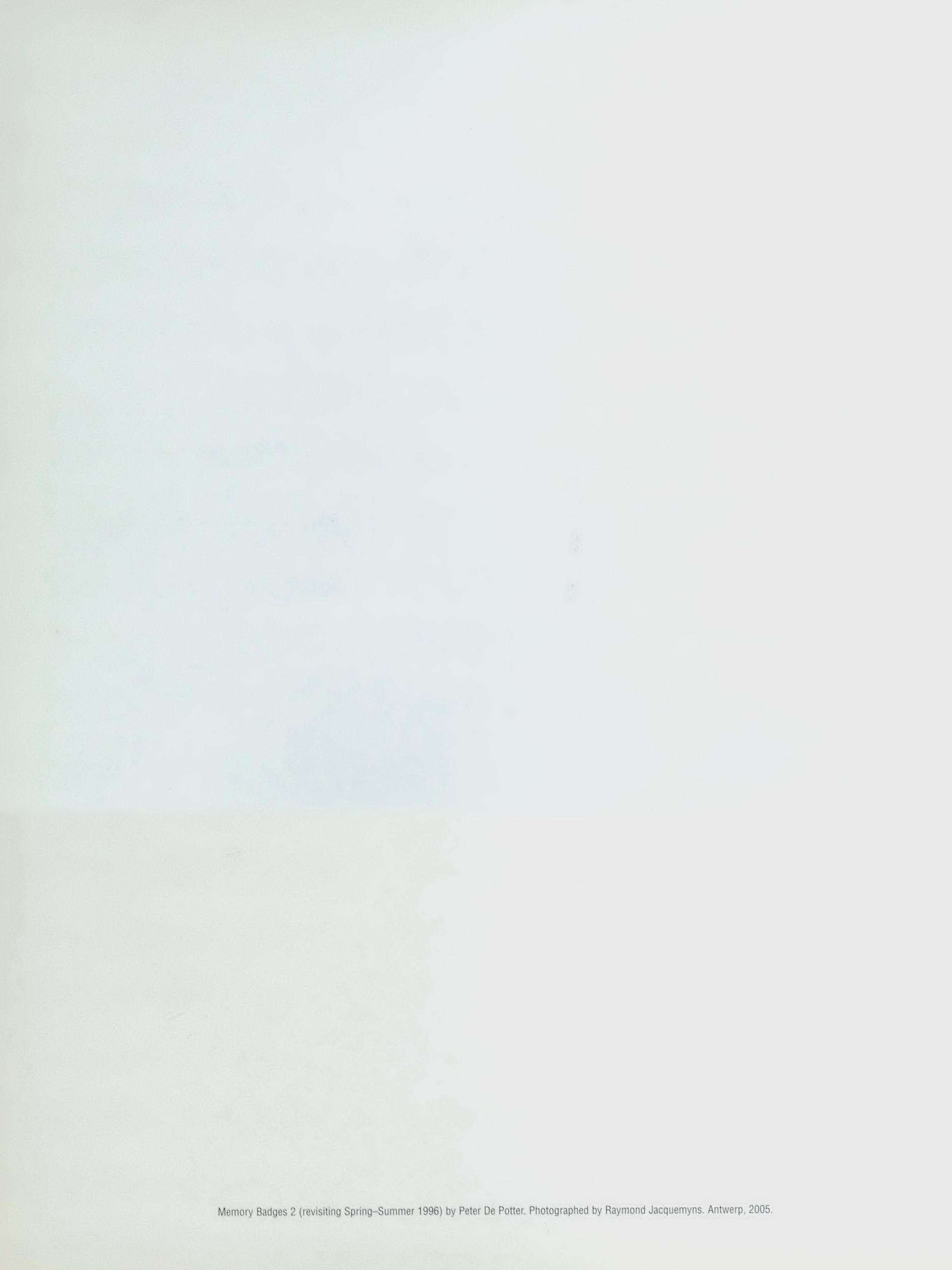 raf simons redux - Image 185