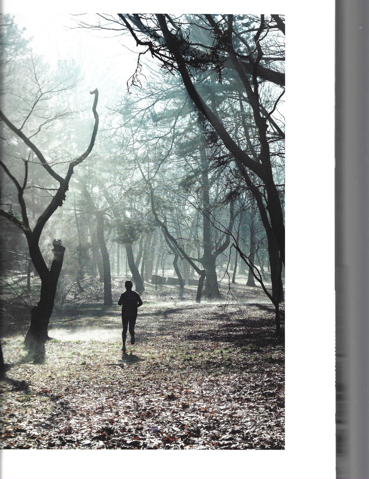 Undercover: Jun Takahashi - Image 5