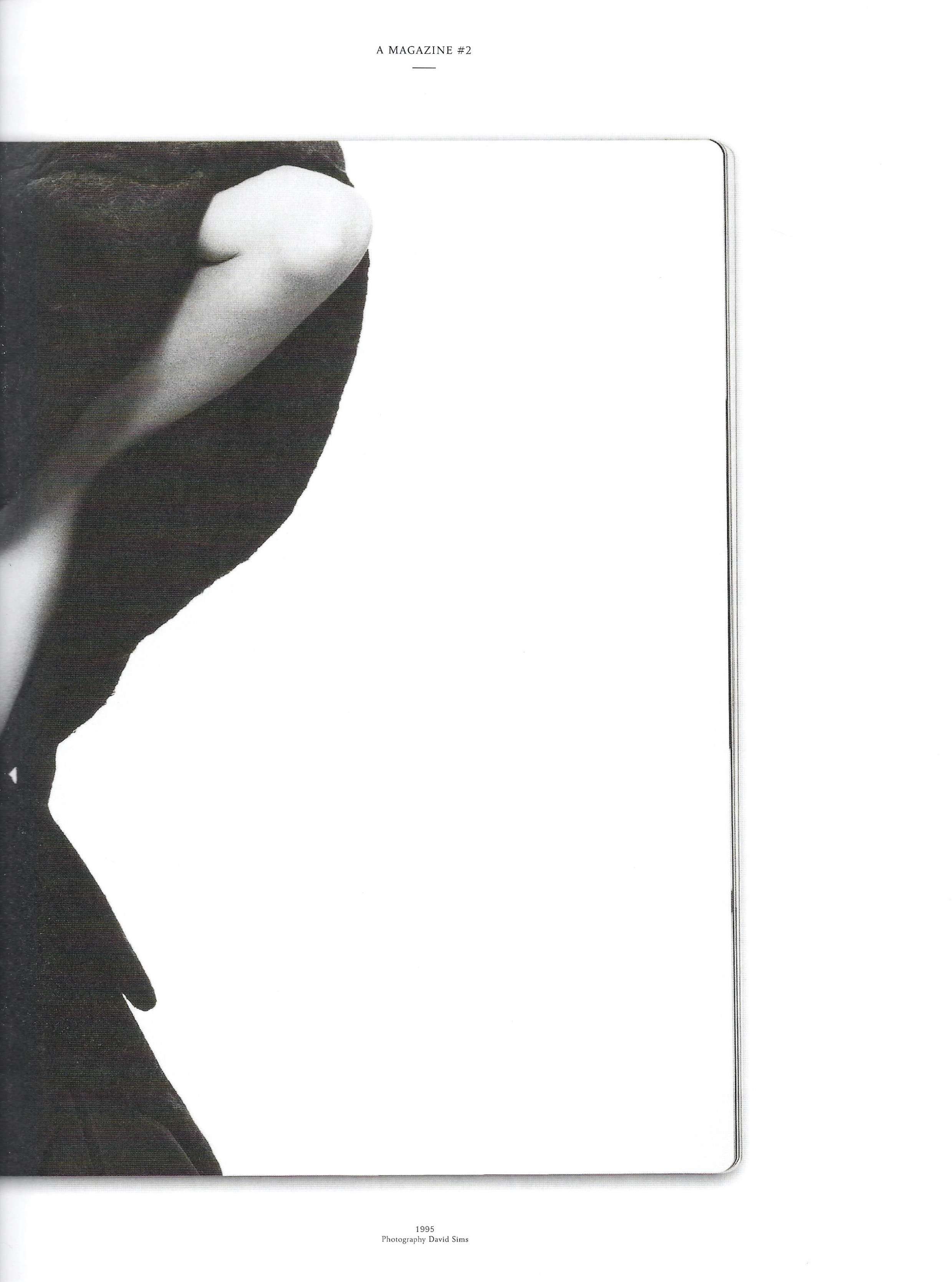 A Magazine Curated by Yohji Yamamoto - Image 68