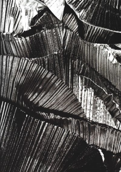 issey-miyake-mark-holborn