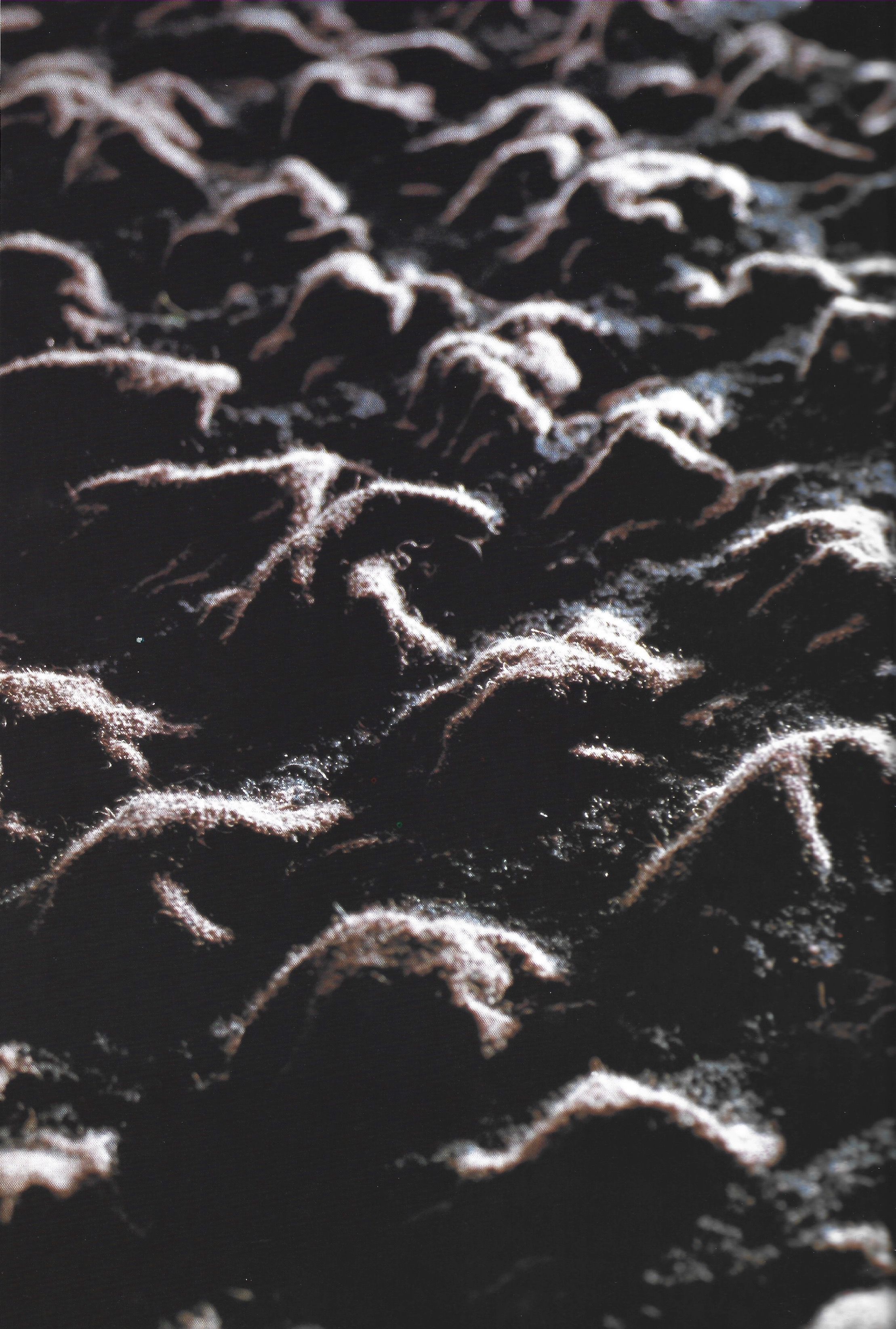 Issey Miyake Mark holborn - Image 19