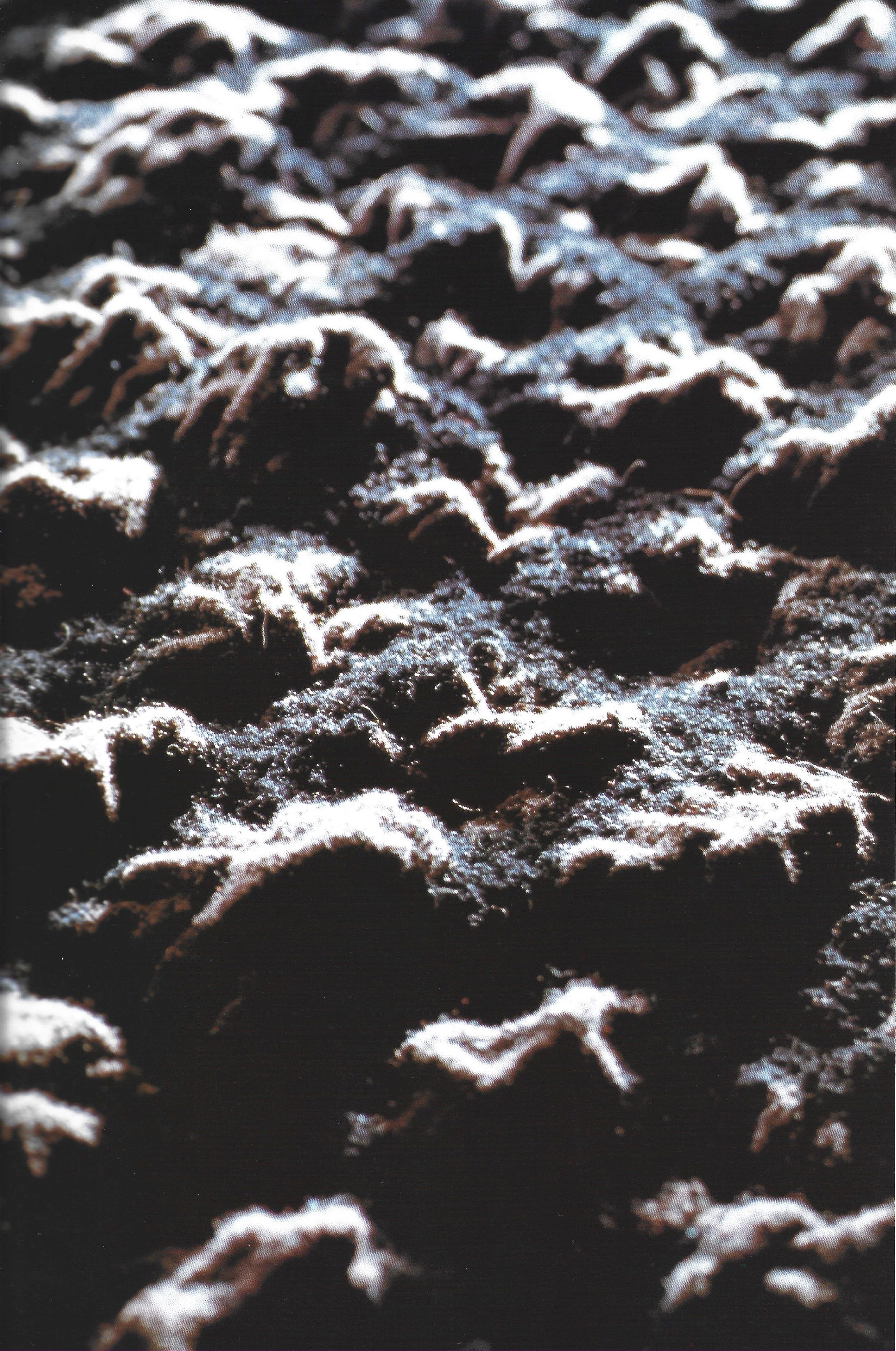 Issey Miyake Mark holborn - Image 20