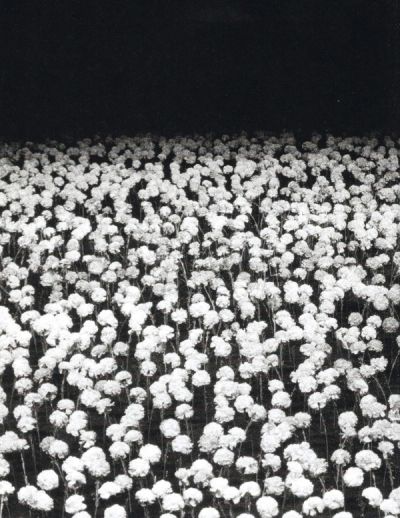 a-magazine-curated-by-yohji-yamamoto