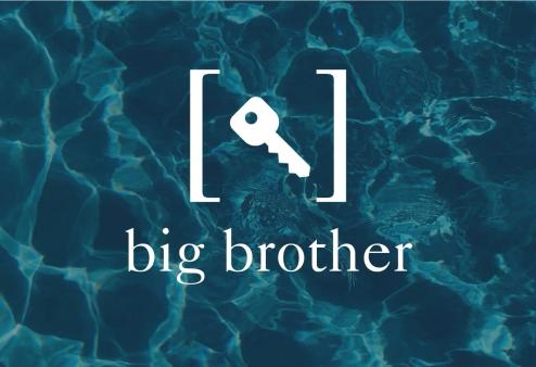 Big Brother