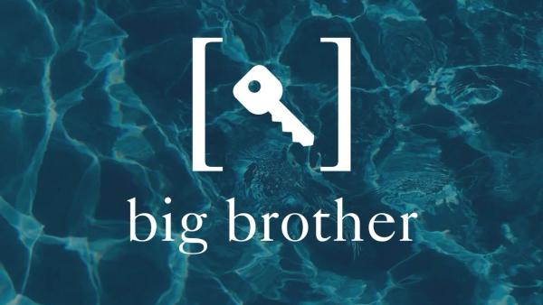Big Brother