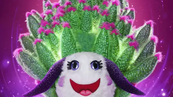 Who is the Leaf Sheep on The Masked Singer?