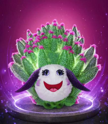 Who is the Leaf Sheep on The Masked Singer?