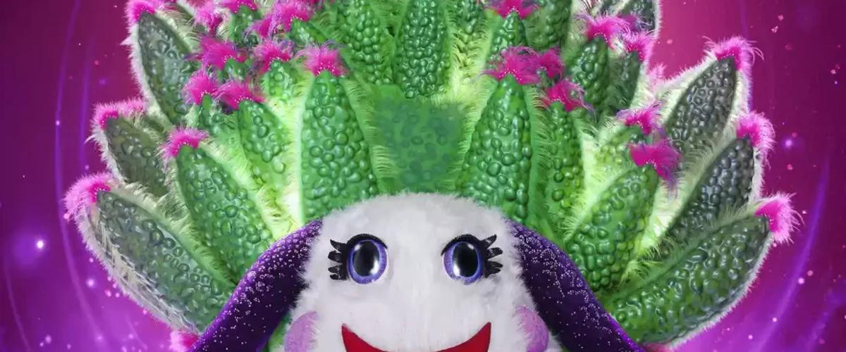 Who is the Leaf Sheep on The Masked Singer?