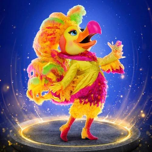 Showbird