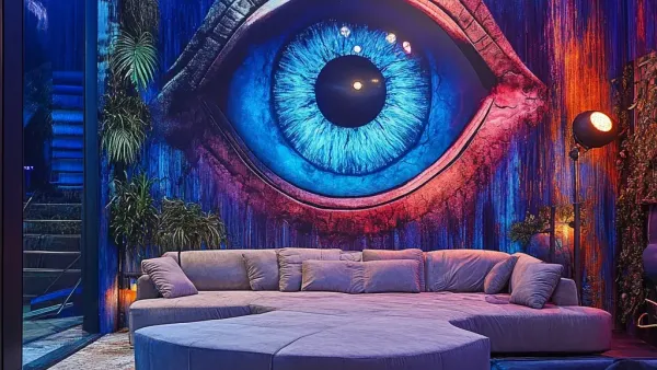 Big Brother Live Feeds