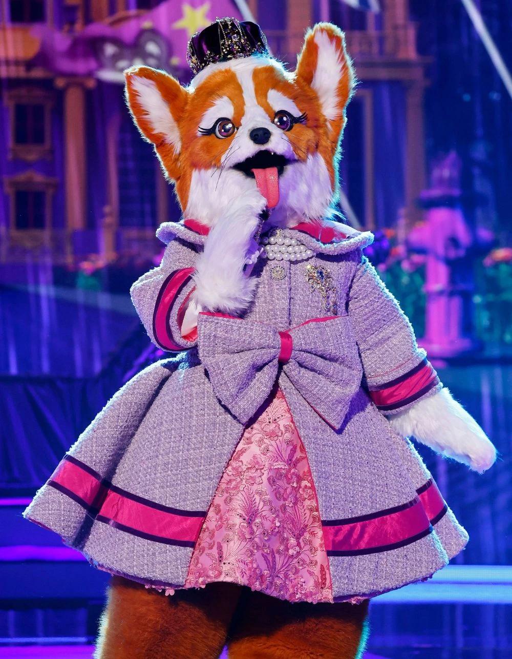 Queen Corgi