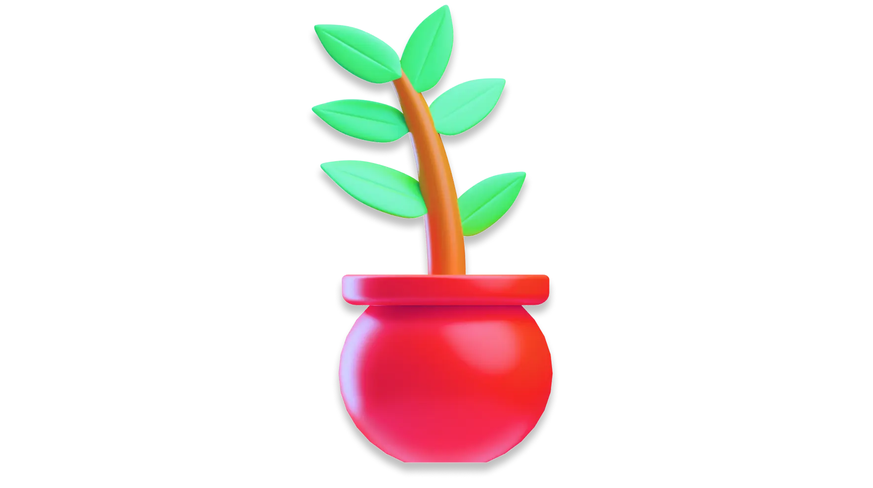 Plant