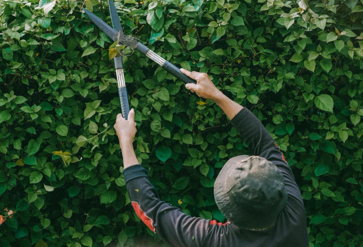 foxquilt-insurance-landscaping-landscaper