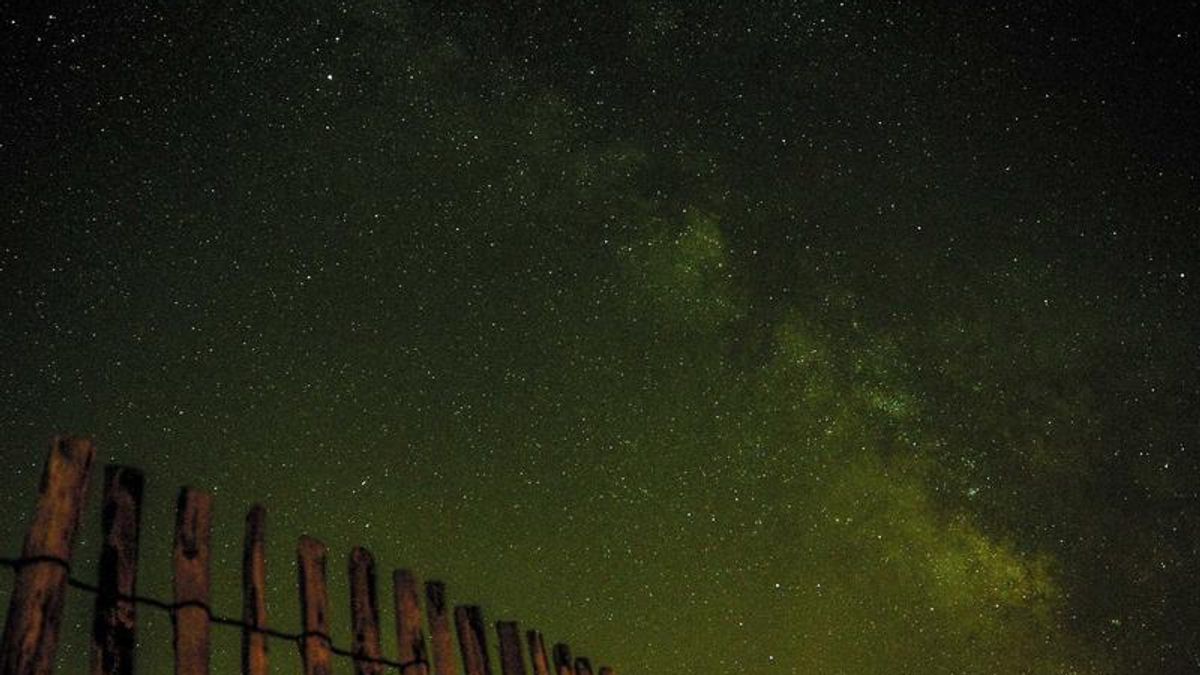 Nét ngài từ bi và dung mạo an lạc