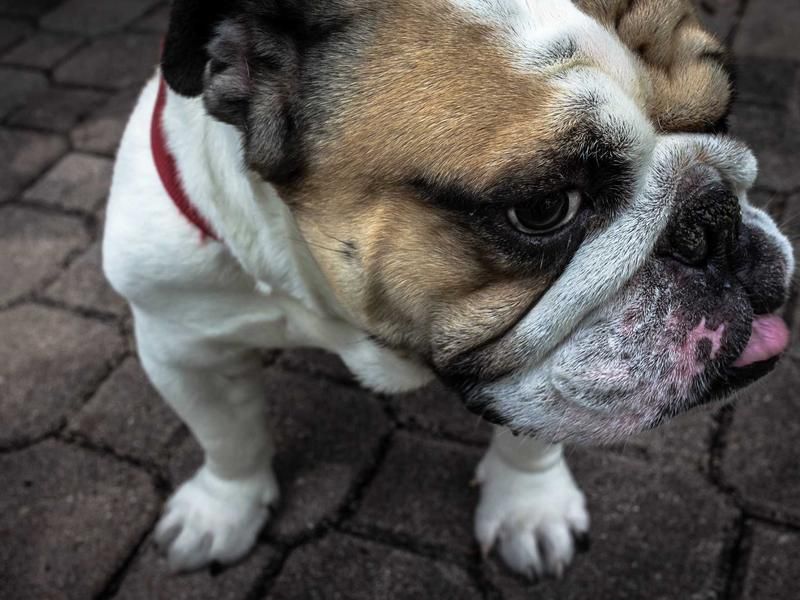 Cách bài trí không gian thờ tinh tế