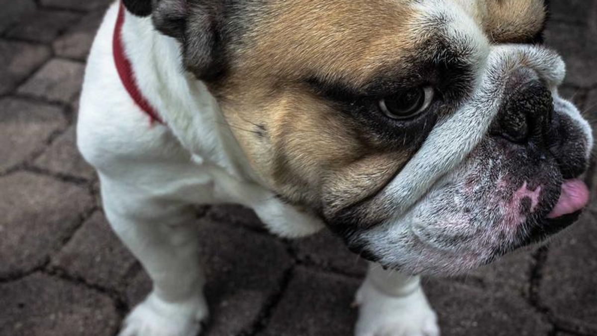 Cách bài trí không gian thờ tinh tế