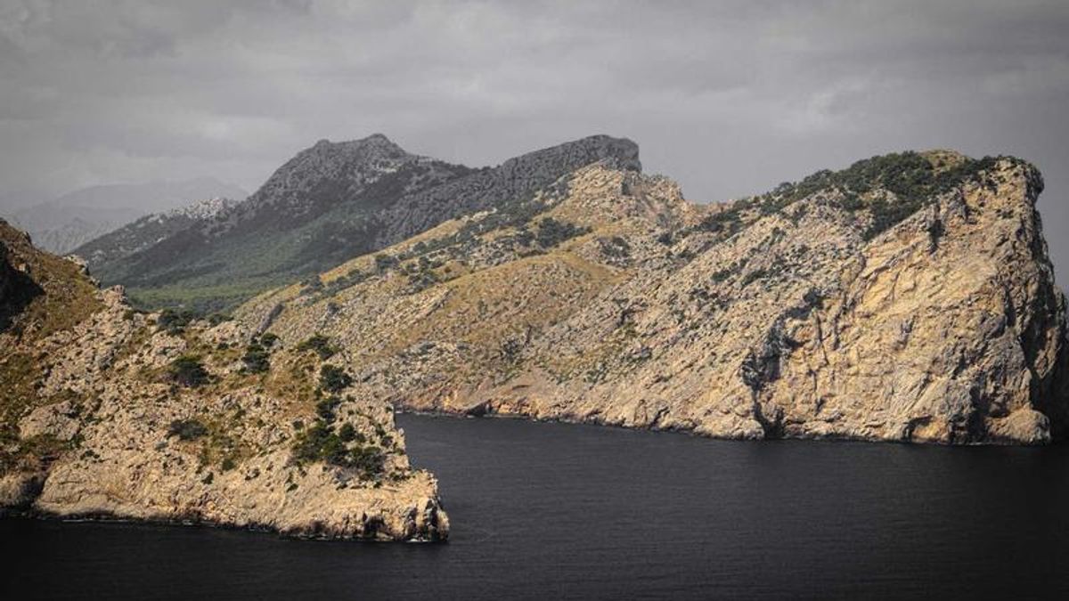 Món quà tuyệt vời cho ngôi nhà mới