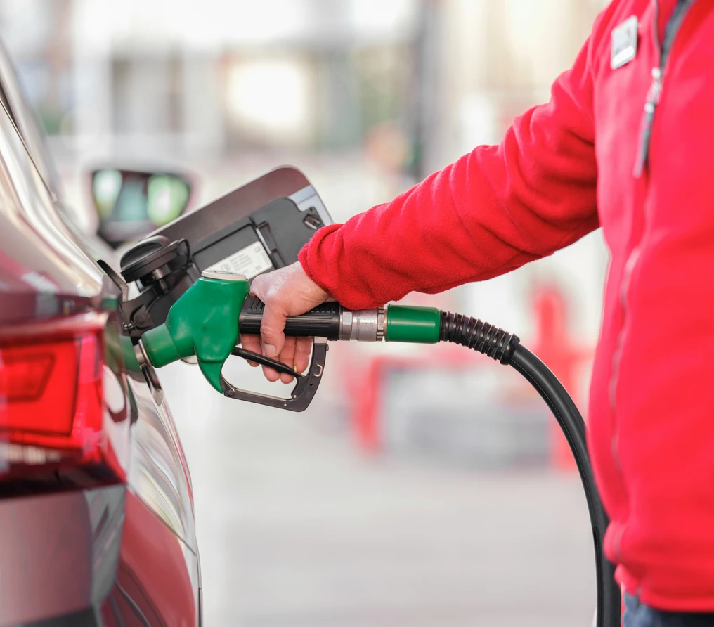 ¿Se puede automatizar?