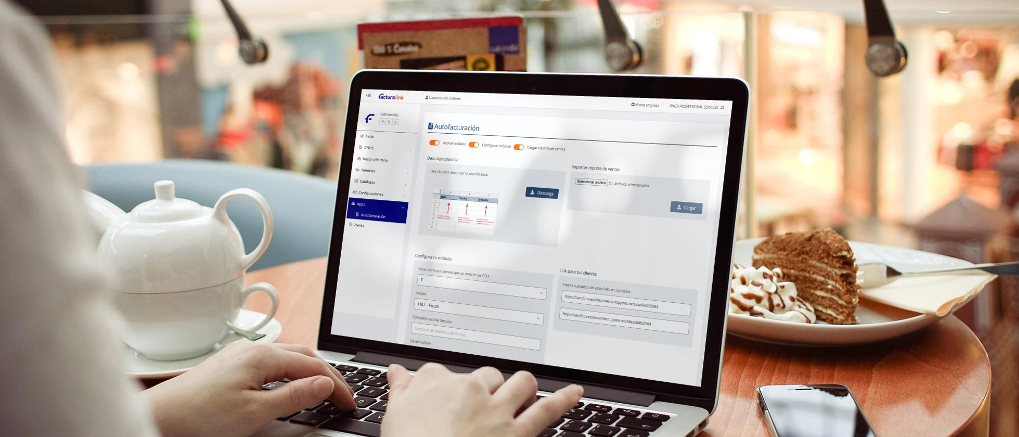 Cómo se usa en FacturaLink