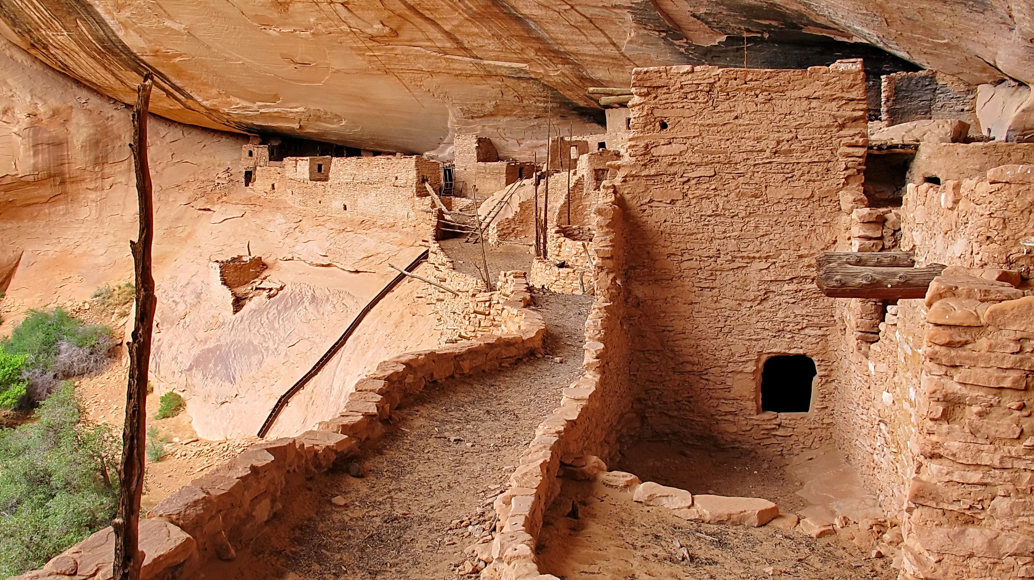 The Keet Seel cliff dwelling at Navajo National Monument.